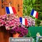 G128 24 Pack Handheld France French Stick Flags | 8x12 In | Printed 150D Polyester, Country Flag, Solid Wooden Stick, Spear Gold Tip